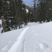 25 cm ski penetration on north face 