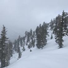 Conditions on a north facing slope near treeline
