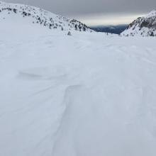 Wind effected snow near treeline