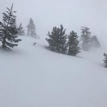 Drifting snow on southerly aspect near treeline