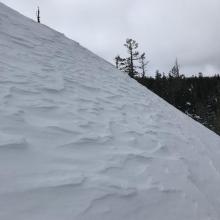 Wind texture beneath ridge top 
