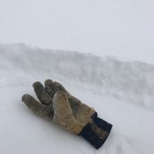 4 inches of new snow on slick crust near and below treeline 