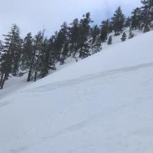 skier triggered storm slab over a foot deep on convex roll-over, below treeline on a north aspect