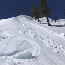 35 degree east facing slope near treeline