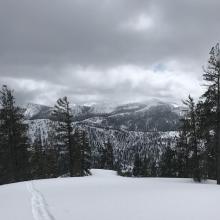 High point 7,300 feet. Mount Eddy off in the distance 