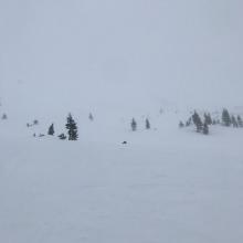 Near treeline visibility 