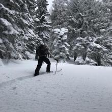 Breaking trail below treeline