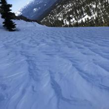 wind effect mid-slope on a northwest aspect 