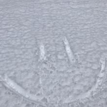  Melt-freeze snow on south aspect near treeline ;)