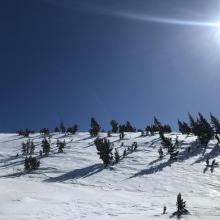 lower Casaval Ridge via giddy giddy gulch 