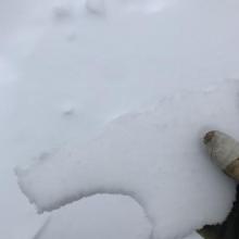 Zipper crust on exposed slopes near treeline