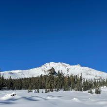 South side, Mt. Shasta