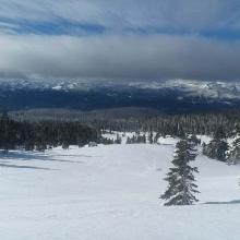 Less Wind Effect Below Treeline, Gulleys, and Sheltered Areas