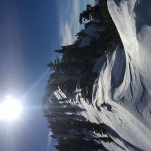 Gray Butte area