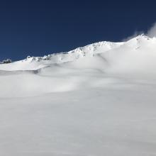 A view up the mountain from 9k feet in the Old Ski Bowl. This photo was not from the pit location.