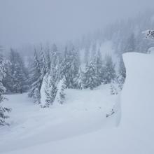 Natural cornice break