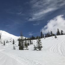 Widespread melt runnels below 8500 feet, very soft snow, calf to knee deep boot penetration