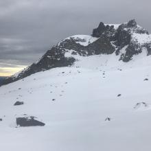 Green Butte, east aspect, 8,200 feet