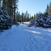 Clear Creek Road Conditions 5500'