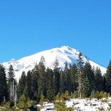 Easterly Aspects of Mt. Shasta