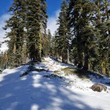 Lower Green Butte Ridge