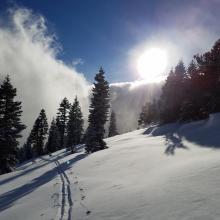 Near Treeline on Green Butte Ridge