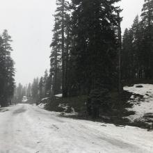 Everett Memorial Highway, just above Bunny Flat