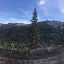 Western side of Eddies, near Parks Ck Summit