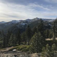 Southerly view from Parks Ck road summit, Eddies