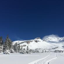 Snow Transport