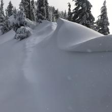 North ridge of Grey Butte