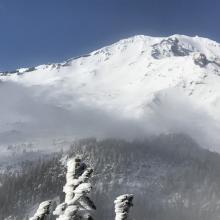 Mount Shasta from the top of Grey Butte