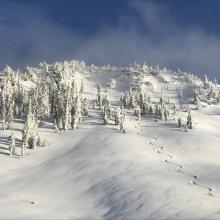 Turns down the west face of Grey Butte