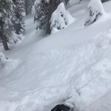 Small loose dry avalanche off north ridge of Grey Butte