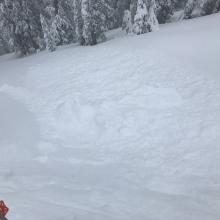 Additional small loose dry avalanche off north ridge of Grey Butte