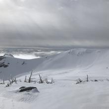 Recent avalanche (estimated 1.24.18)