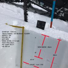 Snowpit, 10,000 ft, Old Ski Bowl