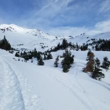 View Up Avalanche Gulch - Moist to Wet Snow