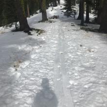 Lower portion of Green Butte Ridge, below treeline, thin snowpack