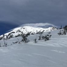 Broadway with Mount Shasta in background, near treeline