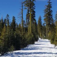 Road to Ash Creek Butte - Groomed, but at times exposed to dirt