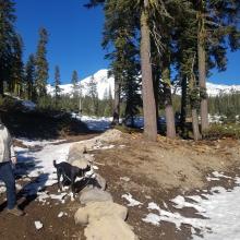 Bunny Flat Trailhead