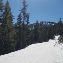 Parks Creek - Road Looking Toward Summit