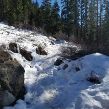 Castle Lake - Heart Lake Trail Conditions