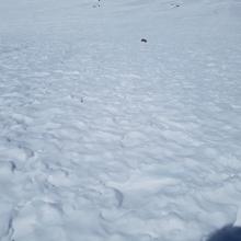 Snow surface at 10,000 ft. Snow blown to lower elevations.