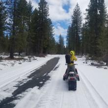 Sparse Coverage Near Pilgrim Creek Snowmobile Park