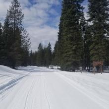 Groomed Trails Near Trout Creek