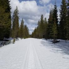 Non-groomed Trail Conditions