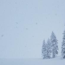 Whiteout Conditions above Treeline 