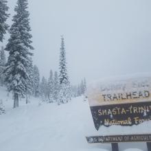 Bunny Flat Trailhead @ 3 PM